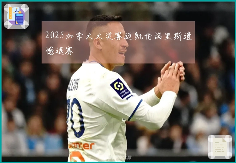 2025加拿大大奖赛迈凯伦诺里斯遗憾退赛