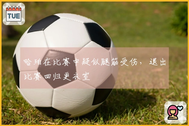哈珀在比赛中疑似腿筋受伤,退出比赛回归更衣室